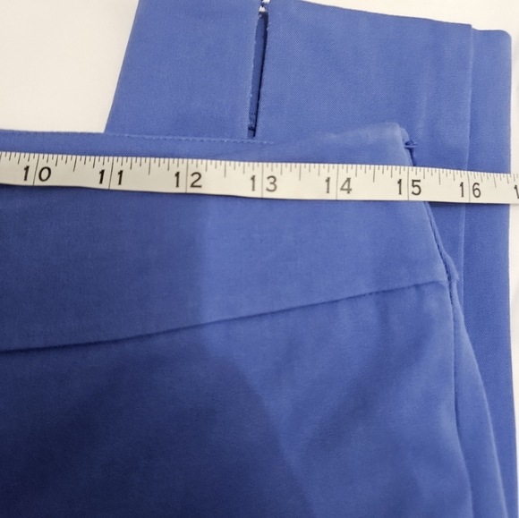 Talbots Blue Chatham Ankle Pants With Side Zip! - Picture 5 of 7